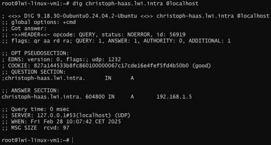 DNS für Website konfigurieren